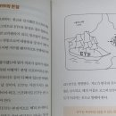지음미디어 이미지