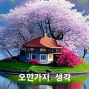 오만가지