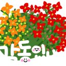 온누리간호학원