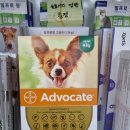 12시편한약국 네이버블로그