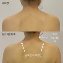 이진쵸이스 - 광진구 아차산로 401-14 | 이진쵸이스