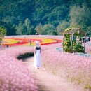 철원고등학교 이미지