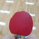 영동탁구장 이미지