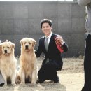 쿨스타스 이미지