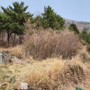 남해-214 이미지