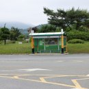 금호방조제 ~ 금호교차로 이미지