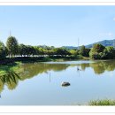 장자호수생태공원 이미지