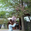 회수동-6 네이버블로그