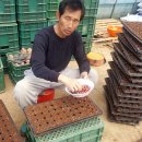 다해농장 이미지