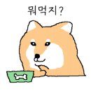 또바기찜닭 이미지