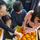 김창규농장 이미지