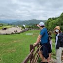 삼성목장 이미지