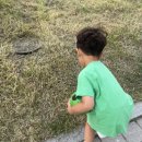 조이재 Daum카페