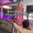 멀티게임랜드 이미지