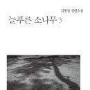 늘푸른소나무