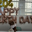 페리토리 이미지