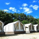 포천 베어스 글램핑 파크 이미지