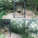 자연으로Ⅰ 이미지