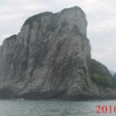 복생도 Daum백과