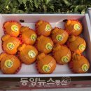 경주시농산물산지유통센터 네이버블로그