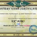 보보캐터리 이미지