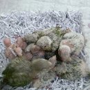 이소농장 이미지