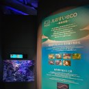 한반도ECO