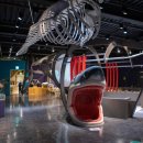 목재문화자연사체험관 이미지