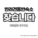 (주)여행할때 이미지