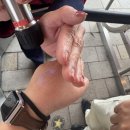 폴라버터랜드 | 오사카되