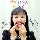 피누스스토어 일류 이미지