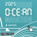 국민건강보험공단(경산역-옥외1) | “바다 위에서 달린다?” 10 km·5 km로 즐기는 부산바다마라톤 꿀팁 공개