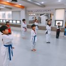 솔빛태권스쿨 이미지