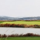 링스골프존 이미지