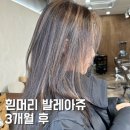 흰머리 발레아쥬 3개월 후 염색 리터치과정 포함 호미헤어 시아