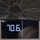 대청태권도 | 2024.07.14~07.28