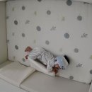 완산방-8 | 이쥬 일상기록@2025년 10월 세번째 육아일기 (분리수면/방 분리, 동물원, 담양여행, 8개월 아기 문센)