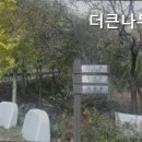 더큰나무펜션 이미지