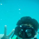 시밀란리브어보드 전문다이빙샵 푸켓체험다이빙의 명소 데블스와함께 수중키스 이미지