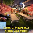 별해늘밤