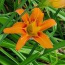 남순천의원 이미지