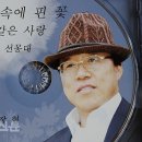 해동유통주 이미지