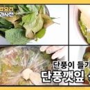 깻잎 삭히는법 단풍깻잎 삭히기 1년 밑반찬 깻잎 소금절임 가을제철음식 이미지