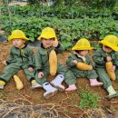 도윤농장 이미지