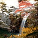 해모수치과의원 이미지