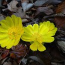 봉래산체육공원 이미지