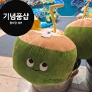 세부 여행 기념품 추천 현지, 공항, 기내
