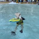 워터파크 | 롯데리조트 속초 워터파크 후기 겨울 아이랑 실내수영장 가격 꿀팁🍯