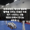시리우스 시범 태권도장 이미지