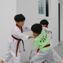 안성 용인대 가온누리 태권도 이미지